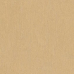 Papel de Parede VISION Z76002
