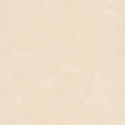 Papier peint VISION Z76033
