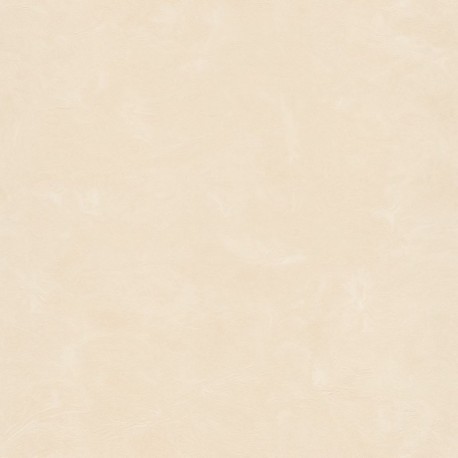 Papier peint VISION Z76033
