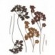 Wall Sticker FLORAL AND WELLNESS 17005 Ladys Smock