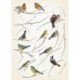 Wall Sticker LANDSCAPE 19705 Vogerl