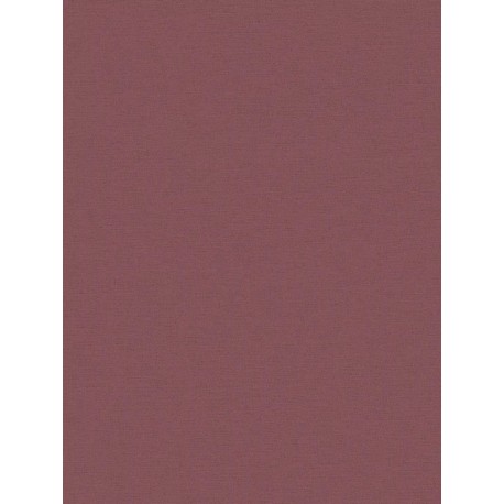 Papel Pintado ANNA D ANDREA DRAWN INTO NATURE 371786