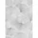 Papel de Parede ELYSIUM 1047031