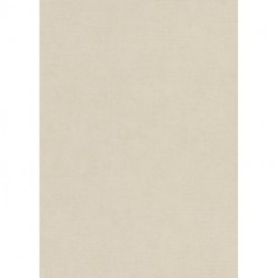 Papel de Parede ELYSIUM 1047302