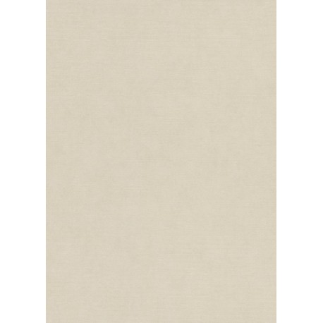 Papel de Parede ELYSIUM 1047302