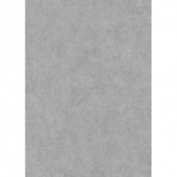 Papel de Parede ELYSIUM 1047310