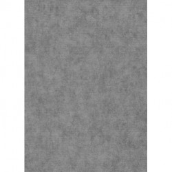 Papel de Parede ELYSIUM 1047329