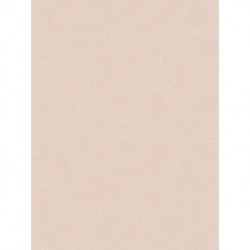 Papel de Parede FRENCH AFFAIR 393417