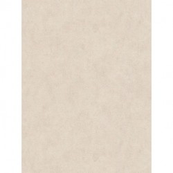 Papel de Parede HOT SPOTS 369249