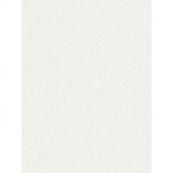 Wallpaper PINT WALLS SMART SURFACES 367202