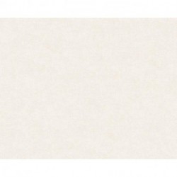 Wallpaper DESERT LODGE SMART SURFACES 367203
