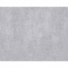 Papier peint TITANIUM 378406