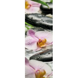 Fotomural FLORAL AND WELLNESS 318-DV1 Wellness