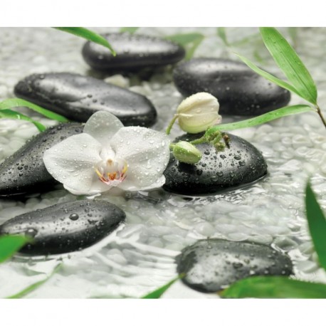 Fotomural FLORAL AND WELLNESS 319-DV3 Pure