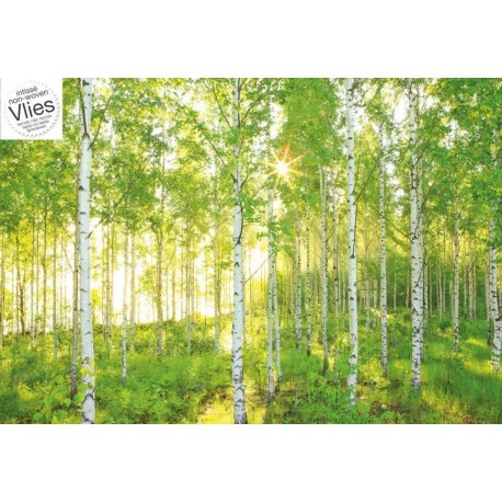 Fotomural LANDSCAPE XXL4-519 Sunday