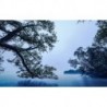 Mural STEFAN HEFELE SH082-VD4 Blue Waters