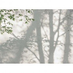 Fotomural THE WALL 399251