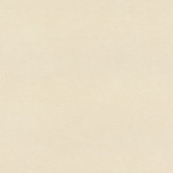 Papier peint BEACHHOUSE 479485