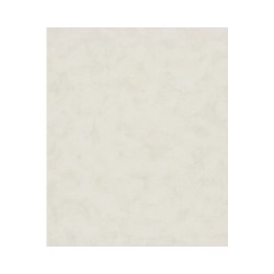 Papier peint YOUNG TEXTURES AND DESIGNS 82427