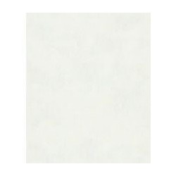 Papel Pintado YOUNG TEXTURES AND DESIGNS 82470