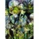Mural FLORAL AND WELLNESS 4-915 Aphrodite's Garden