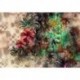Fotomural FLORAL AND WELLNESS 8-210 Sherazade