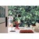 Fotomural FLORAL AND WELLNESS 8-333 Verdure