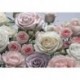 Fotomural FLORAL AND WELLNESS 8-736 Floraison