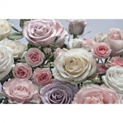 Fotomural FLORAL AND WELLNESS 8-736 Floraison