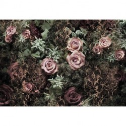 Fotomural FLORAL AND WELLNESS 8-980 Velvet