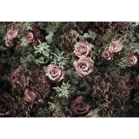 Mural FLORAL AND WELLNESS 8-980 Velvet