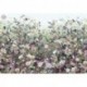 Fotomural FLORAL AND WELLNESS XXL4-035 Botanica