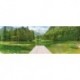 Fotomural LANDSCAPE 4-538 Green Lake