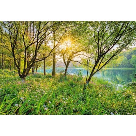 Fotomural LANDSCAPE 8-524 Spring Lake