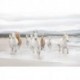 Fotomural LANDSCAPE 8-986 White Horses