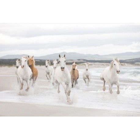 Mural LANDSCAPE 8-986 White Horses