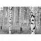 Fotomural LANDSCAPE XXL4-023 Woods