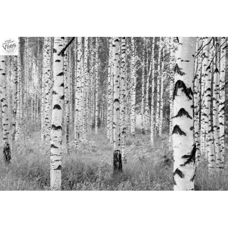 Fotomural LANDSCAPE XXL4-023 Woods