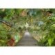 Mural TROPICAL 8-977 Wild Bridge
