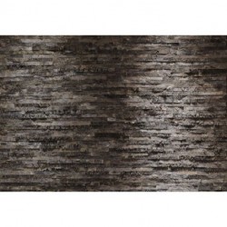 Fotomural WOOD AND STONES 8-700 Birkenrinde
