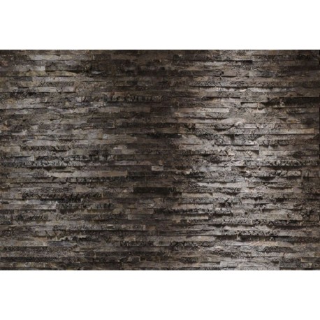 Fotomural WOOD AND STONES 8-700 Birkenrinde