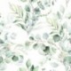 Wallpaper FRESH UP 88974