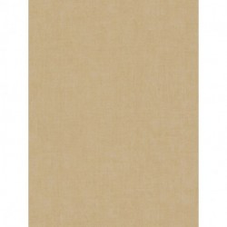 Papier peint HISTORY OF ART 790443