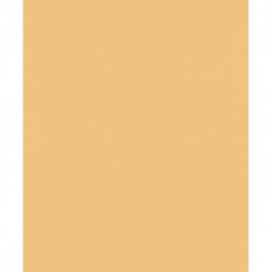 Papel Pintado PHOENIX A48904
