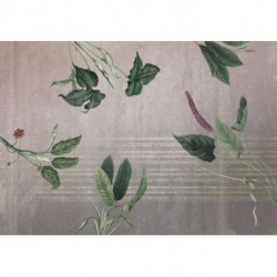 Mural FLORAL AND WELLNESS INX8-050 Tropic Concrete