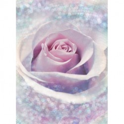 Fotomural FLORAL AND WELLNESS X4-020 Delicate Rose