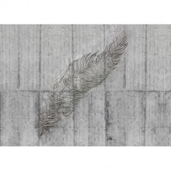 Fotomural WOOD AND STONES X7-1023 Concrete Feather