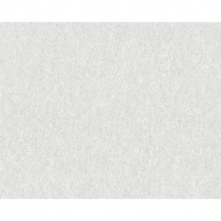 Papier peint ATTRACTIVE 390301