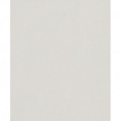 Papier peint JACKIE 82375 682620