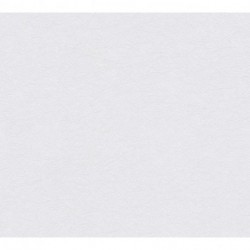 Papel Pintado PROFITEX P492740016